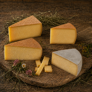 Wilder Kaiser Käse-Bundle mit vier Tiroler Käsespezialitäten